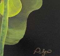 Midnight Calla Lily by Palyn Palyn