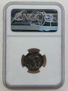 302-280 BC Calabria Taras - NGC Ch VF
