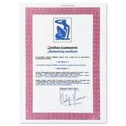 Nu Bleu I by Matisse