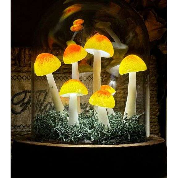 Handmade Mushroom Lamp in Glass Dome
