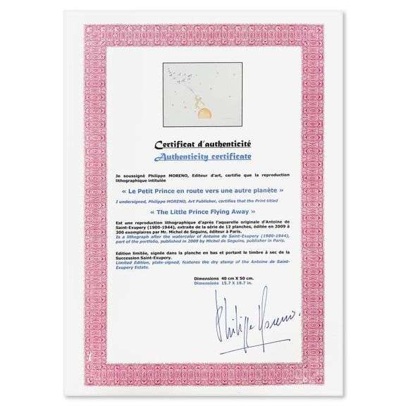 The Little Prince Flying Away