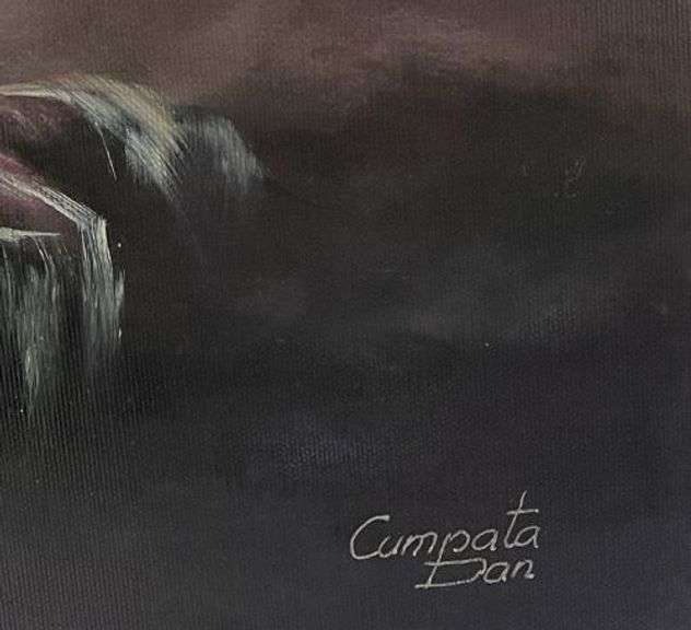 Signed Dan Cumpata Fine Art Giclee on Canvas Dan Cumpata