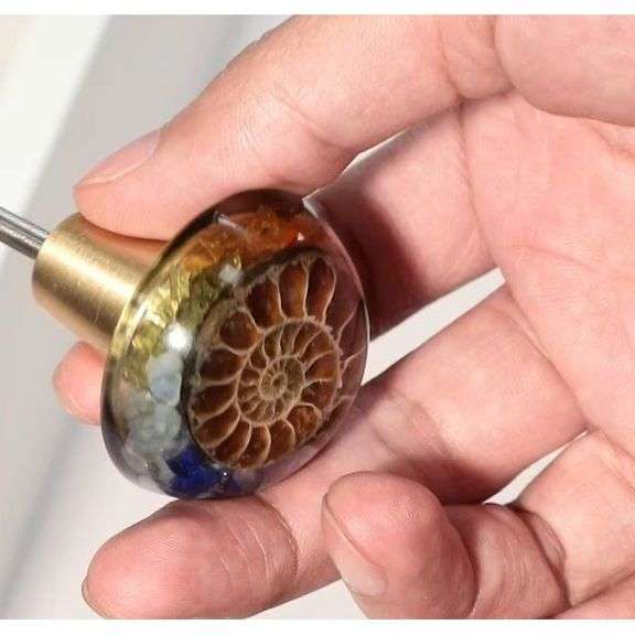 Set of 2 Chakra Ammonite Fossil Drawer Knobs with Brass Handle