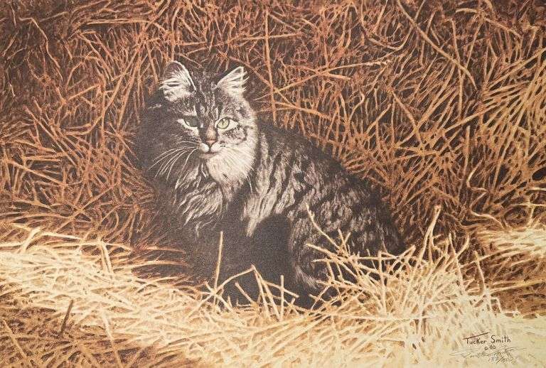 Tucker Smith Cat Barn Limited Edition Print
