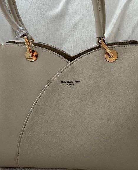 Beige Color Hand Bag by David Jones Paris