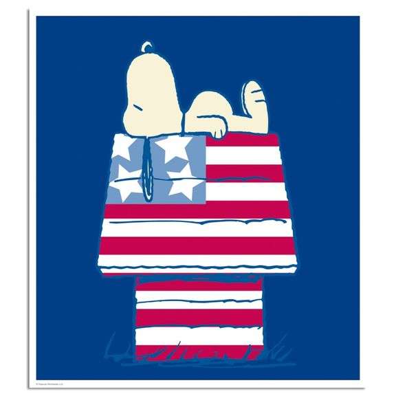 Stars and Stripes and Sleep by Peanuts,