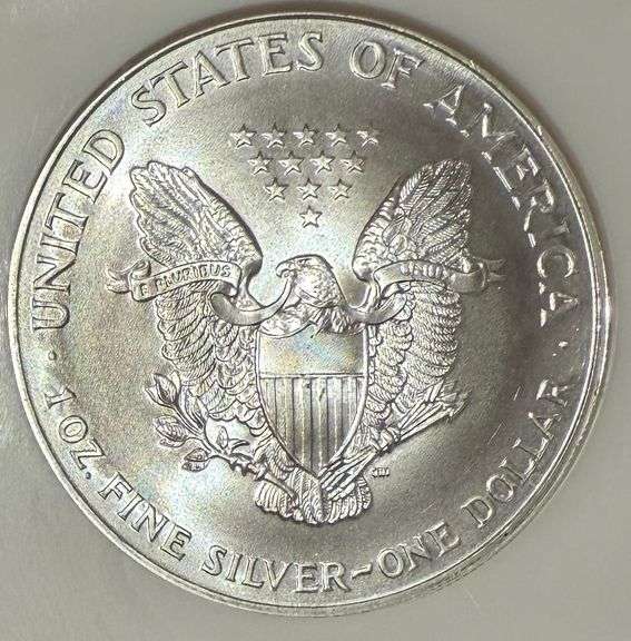 Frosty 1999 NGC MS 69 Silver Eagle
