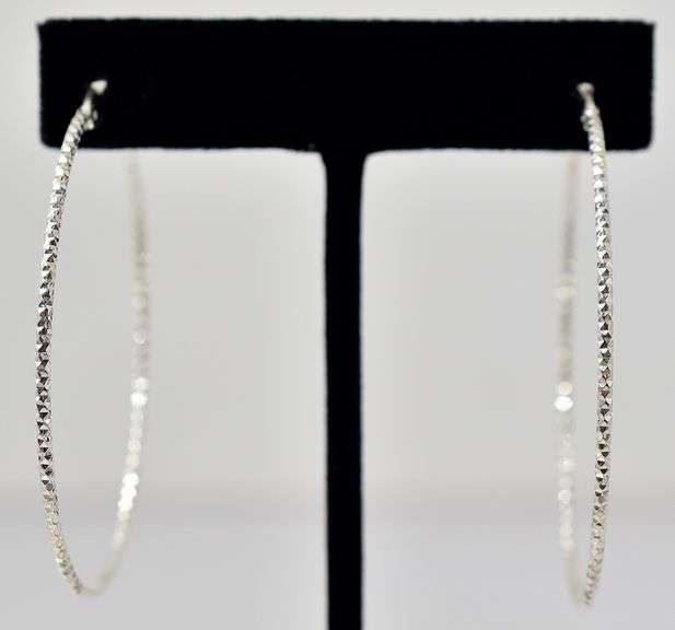 Hoop Earrings in Sterling Silver