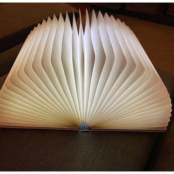 Folding Dragon Book Lamp LED Night Light