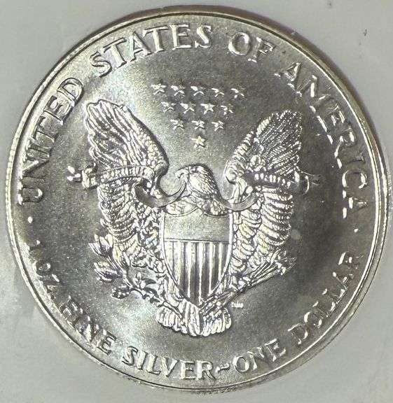 Frosty Key 1996 NGC MS 69 Silver Eagle.