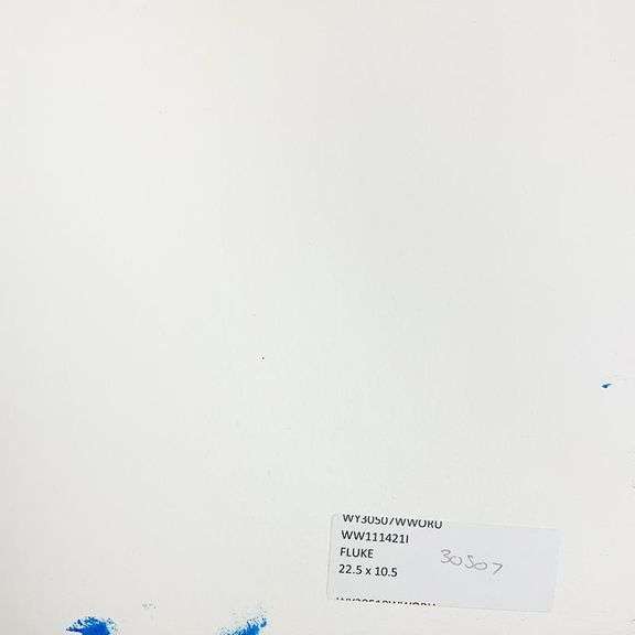 Fluke by Wyland Original