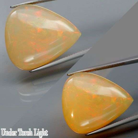 Full floral patterned 17.32ct untreated semi-black Welo Opal!