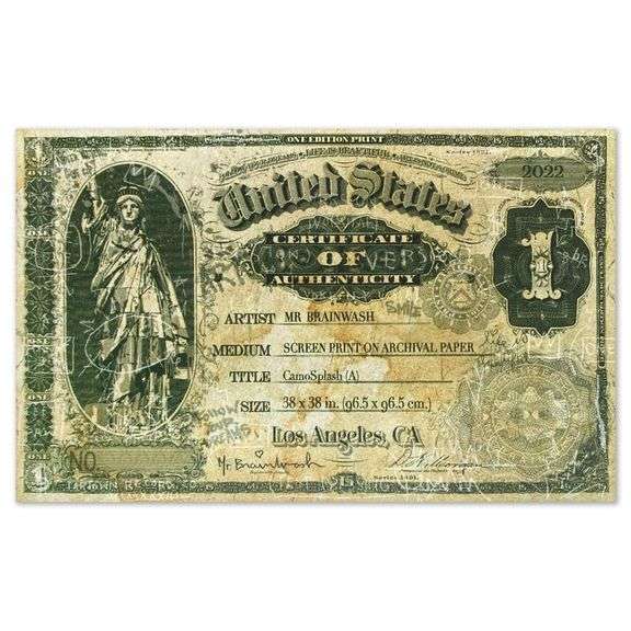 Camo Splash A by Mr Brainwash,