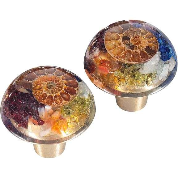 Set of 2 Chakra Ammonite Fossil Drawer Knobs with Brass Handle