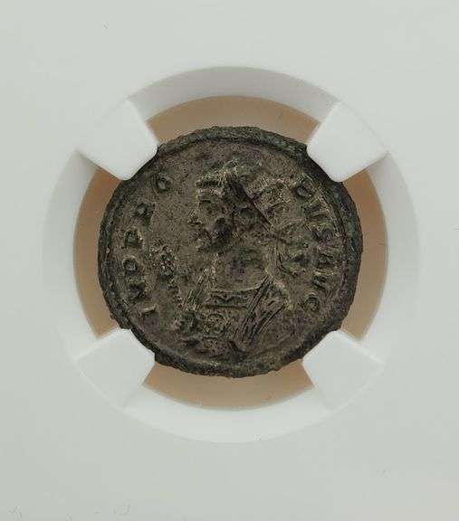 276-282 AD Roman Empire - NGC Ch AU