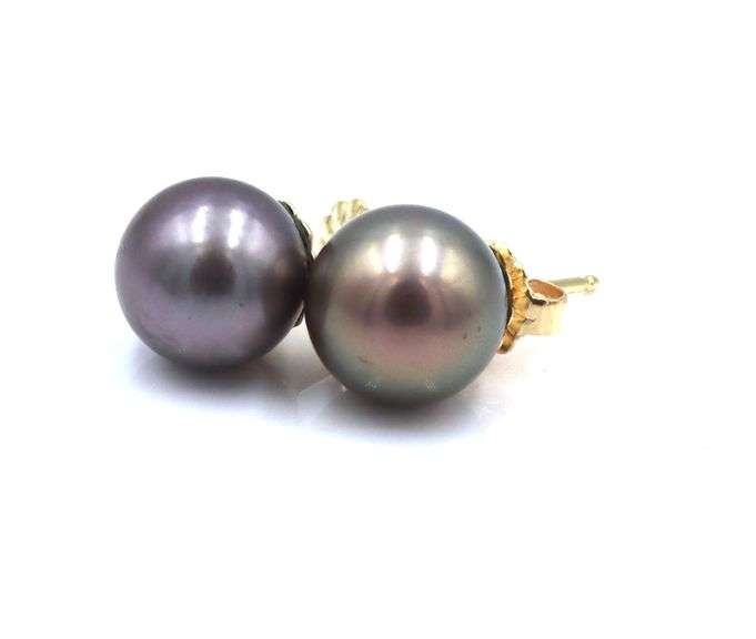 14kt Yellow gold 8.5-9mm grey pearl stud earrings