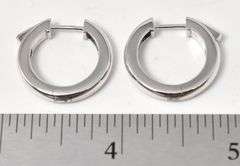 Hoop Earrings in Sterling Silver