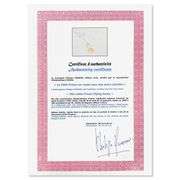 The Little Prince Flying Away