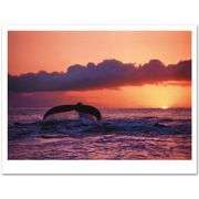 Visions Of The Sea by Wyland,