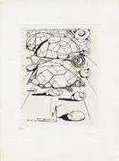 Exclusive Salvador Dali Limited Edition Etching 1967
