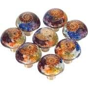 Set of 2 Chakra Ammonite Fossil Drawer Knobs with Brass Handle