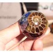 Set of 2 Chakra Ammonite Fossil Drawer Knobs with Brass Handle