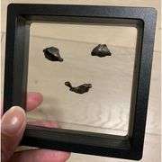 3 Pieces Genuine Meteorite Fragments