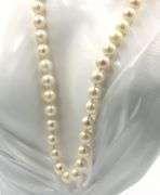 White fresh water pearl strand necklace with gold clasp
