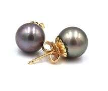14kt Yellow gold 8.5-9mm grey pearl stud earrings