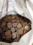 5,000 Count Wheat Cent Estate Bag