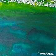 Untitled by Wyland Original