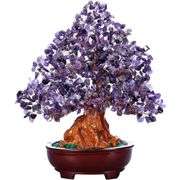 Amethyst Crystal Money Tree