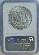 Near Gem BU 1921 Morgan Silver Dollar. NGC MS64