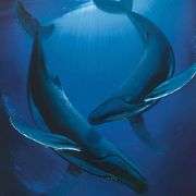 Song of the Deep by Wyland,