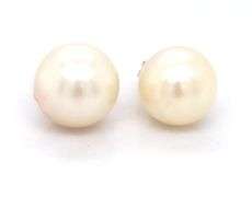 14kt Yellow gold pearl stud earrings