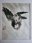 One Extremely Collectable Oriental Original Painting , 14x11 matted Yin Ping Zheng Eagel