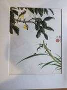 Quantity of 3 Extremely Collectable Oriental Original Painting , 14x11 matted