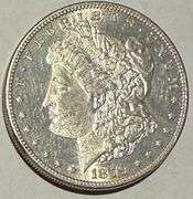 1879 S Frosty White BU Morgan Dollar