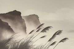 "Whispers in the Wind" Japanese LE Print