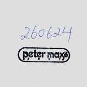 The Room by Peter Max