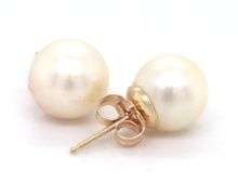 14kt Yellow gold pearl stud earrings