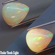 Gorgeous floral patterned 10.50ct white Opal