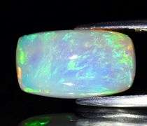 Gorgeous floral patterned 6ct white Opal