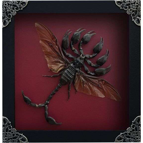 Flying Scorpion Hybrid Taxidermy Art