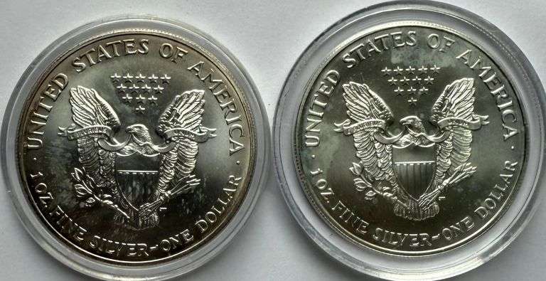 1999 2000 Enameled Silver Eagles
