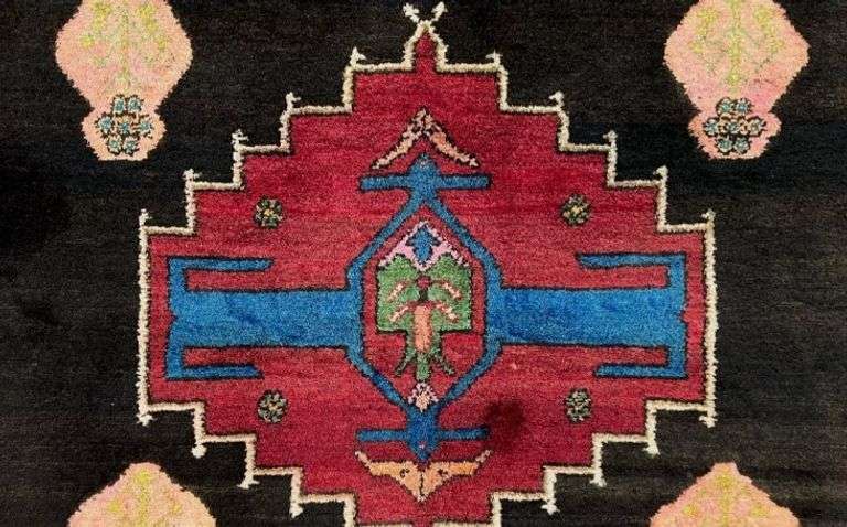 Unique Persian Hamedan Rug 5'.3"x8'