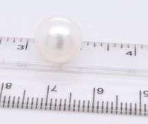 Fresh Water Pearl Button Stud Earrings