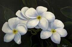 Signed Artist Proof on Canvas Titled Plumeria by Palyn