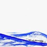 Dolphin by Wyland Original