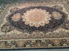 Exquisite Persian Design Rug 8x11
